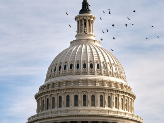 Ending Longest Government Shutdown
